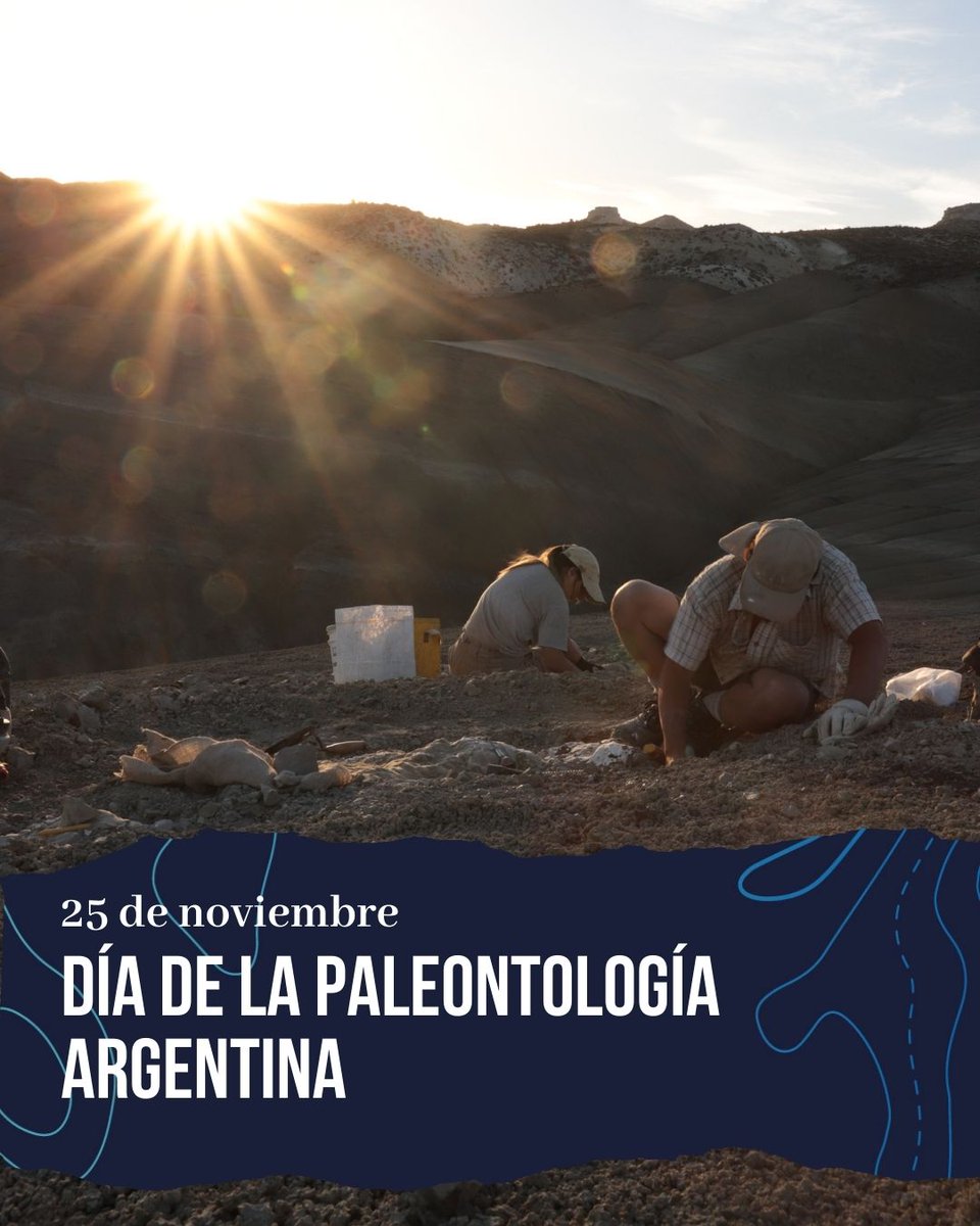 MuseoEgidioFeruglio (@mefpatagonia) on Twitter photo HOY CELEBRAMOS EL DÍA DE LA PALEONTOLOGÍA EN ARGENTINA 🦴🇦🇷🎉El 25-11-1955 nacía la <a href="/Apaleontologica/">Asociación Paleontológica Argentina</a> (APA), una organización que reúne a especialistas de todas las disciplinas paleontológicas del país.
¡Feliz día para toda la comunidad paleontológica! 🦖🐚🌿 HOY CELEBRAMOS EL DÍA DE LA PALEONTOLOGÍA EN ARGENTINA 🦴🇦🇷🎉El 25-11-1955 nacía la <a href="/Apaleontologica/">Asociación Paleontológica Argentina</a> (APA), una organización que reúne a especialistas de todas las disciplinas paleontológicas del país.
¡Feliz día para toda la comunidad paleontológica! 🦖🐚🌿