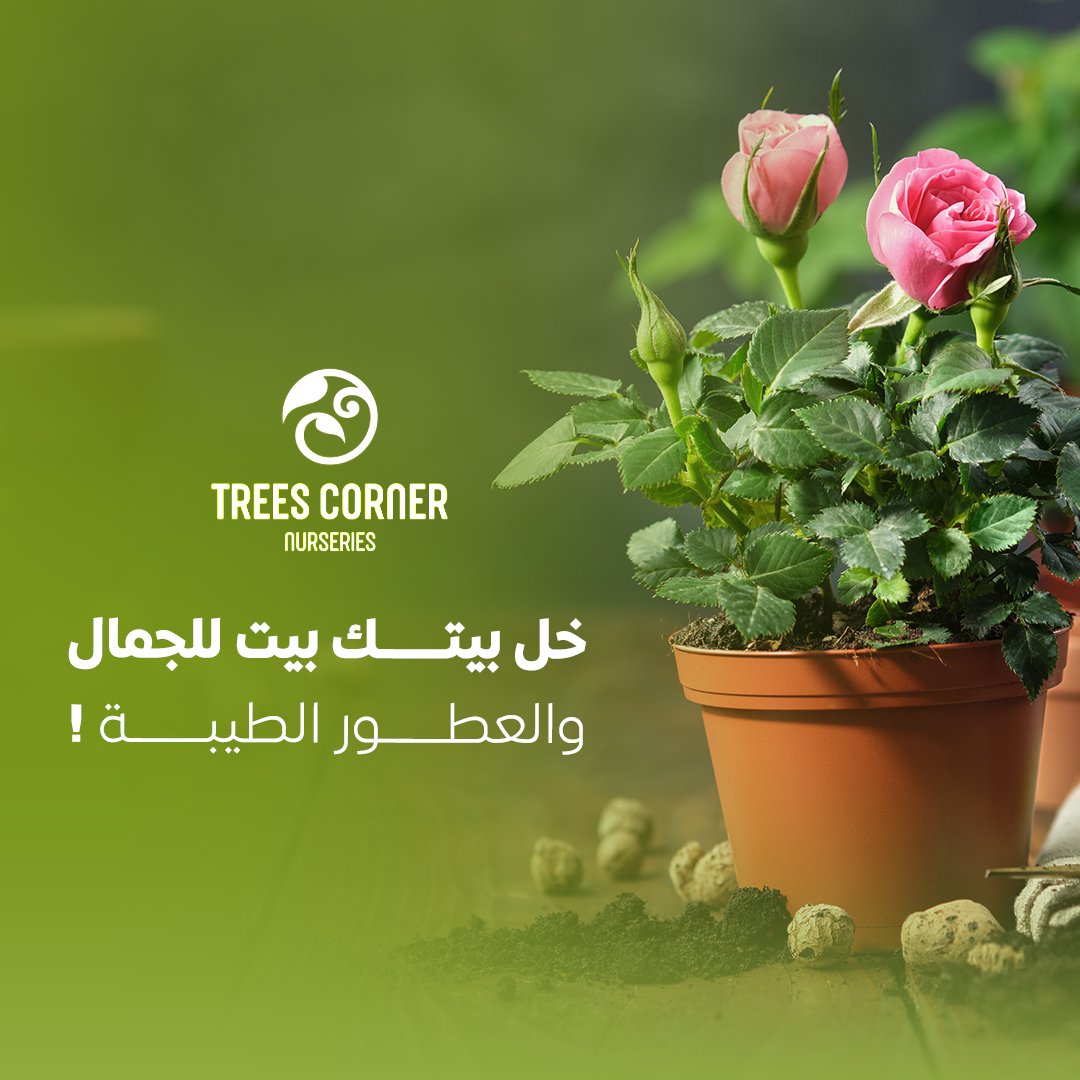 Trees Corner - ركن الأشجار (@cornertrees) / Posts / X
