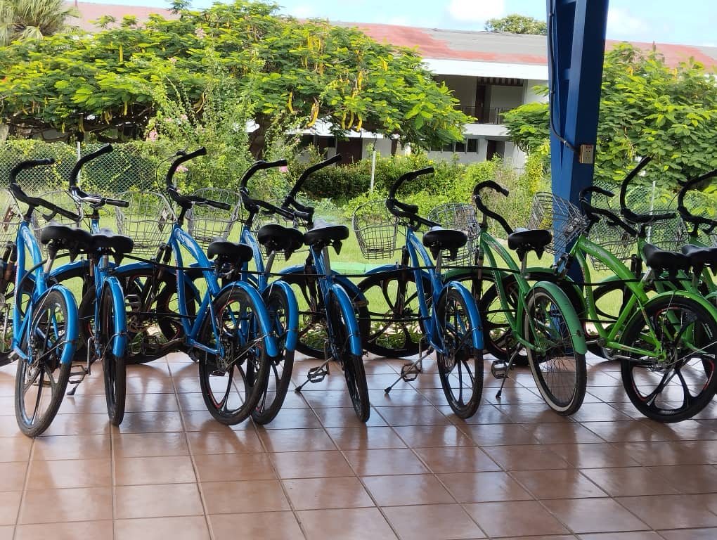 🌍 ¡Feliz Día Mundial del Transporte Sostenible! 🌱

En Transtur, nos comprometemos a ofrecer servicios que  no solo facilitan tu viaje, sino que también promueven un futuro más  verde.
¡Únete a nosotros en este viaje hacia un futuro sostenible! 💚

 #Transtur #CubaVerde