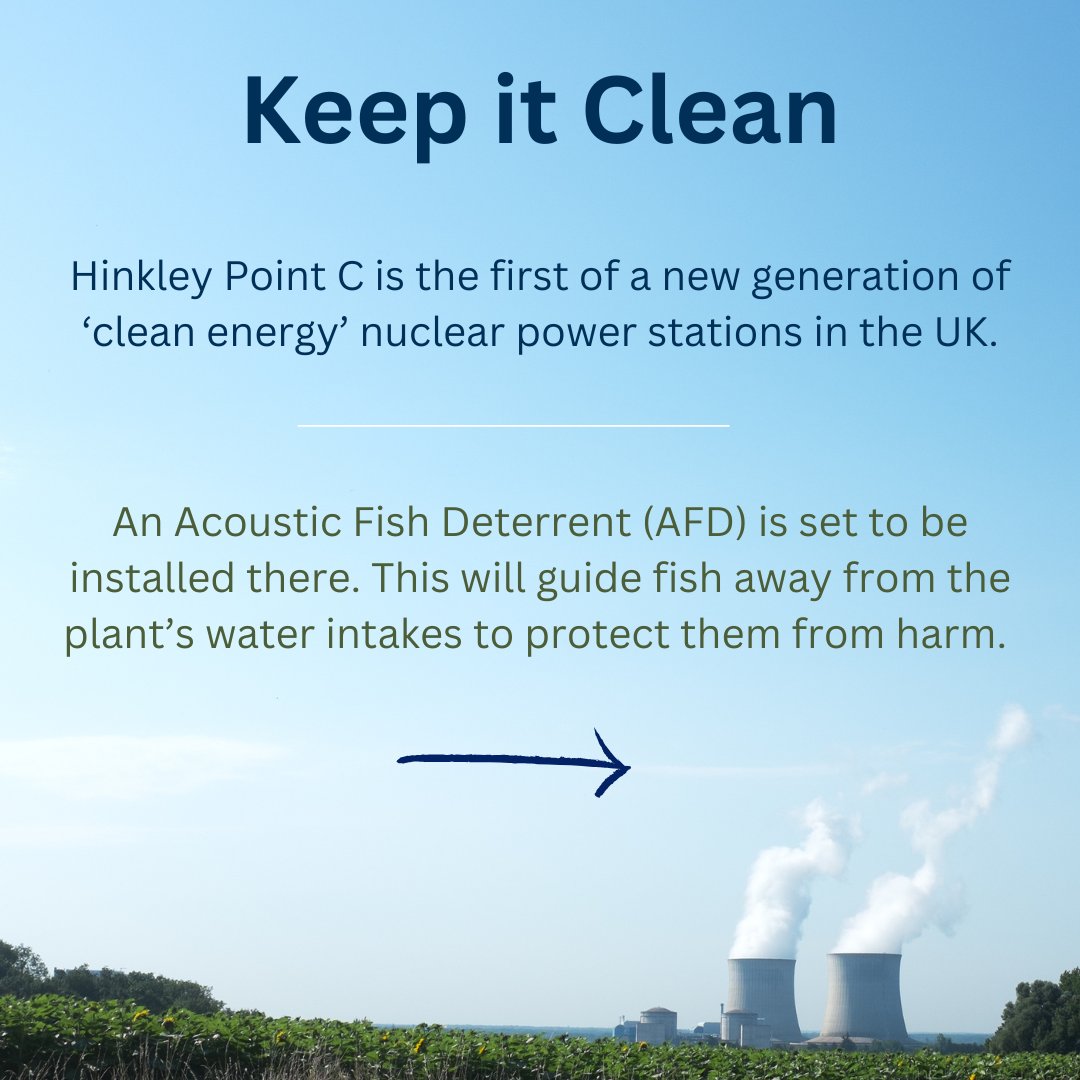 AnglingTrust's tweet photo. Hinkley Point C, on the Somerset coast of the Bristol Channel, is the first of a new generation of nuclear power plants. The builders, EDF Energy, continue to show disregard for the fish kill potential of the plant by contesting a vital protection measure, the Acoustic Fish Deterrent (AFD), for nearly eight years. The Welsh Government Commission has warned that its absence could lead to the death of approximately 182 million fish annually. Now, an AFD Delivery Group has come together and offered a solutions based, scientifically backed report which proves the measure is both necessary and feasible. In support of the report, the Angling Trust call on both EDF Energy and the new government to commit to their promises and install this vital measure. Read more: https://t.co/HVlTuCHAdE #KeepitClean