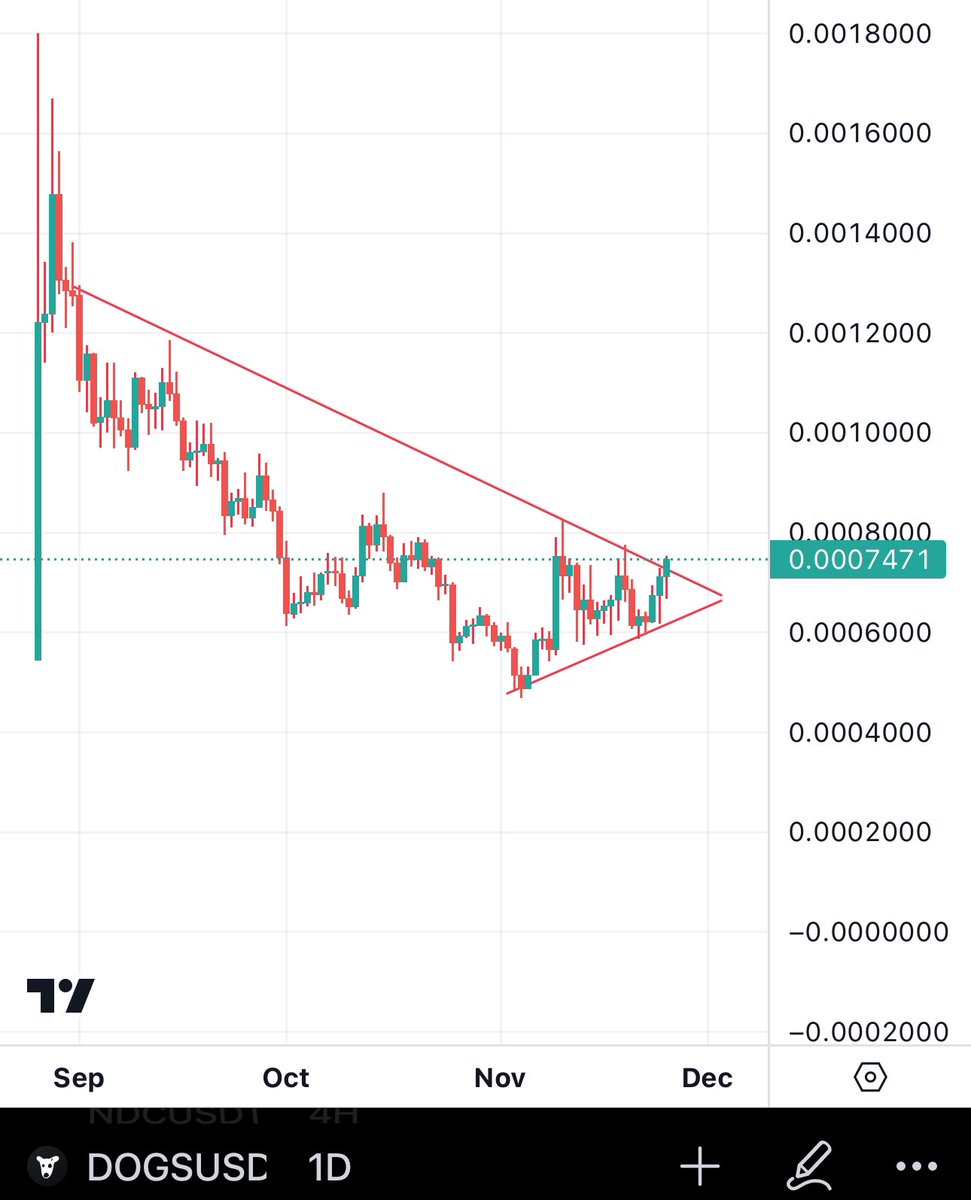 BitcoinHabebe tweet media