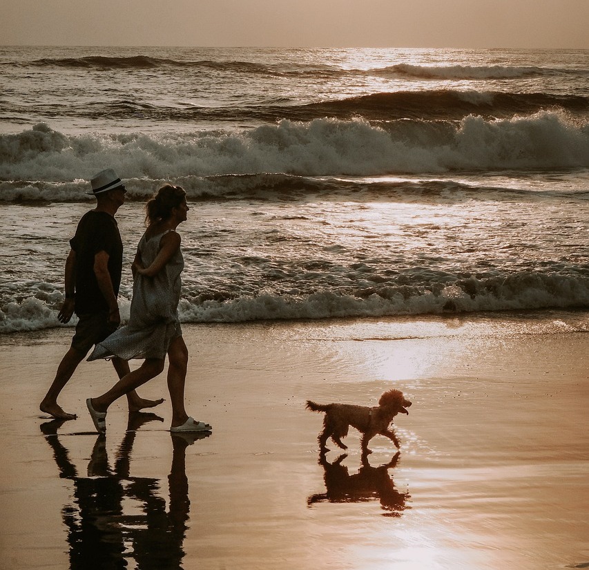 🌲✨ Escape to Tranquility at our Adult-Only Campsites! ✨🌲

Looking for a peaceful retreat? Our adult-only campsites at Premier Parks are designed for relaxation, connection, and adventure without the hustle and bustle of family crowds.

Book today 🌌❤️
premierparks.outandaboutlive.co.uk/adults-only-ca…