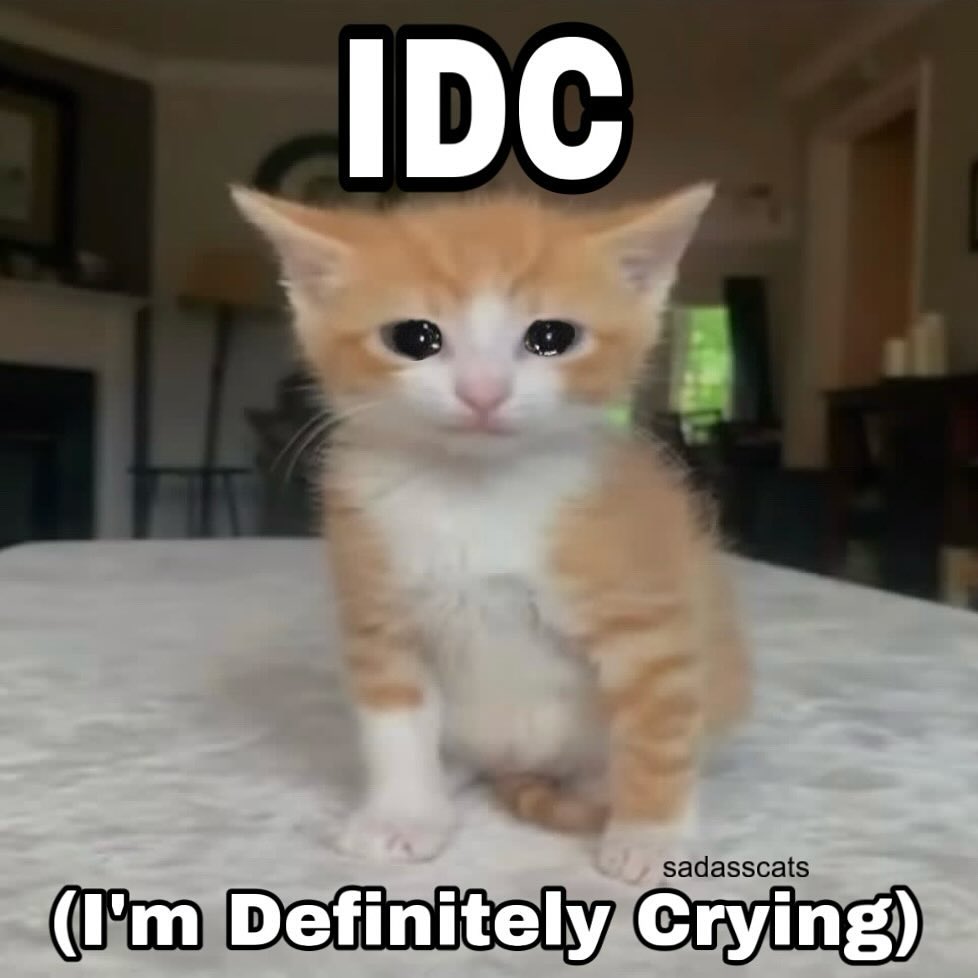 Catsillyness's tweet photo. IDC https://t.co/1sDHhZ8SX4