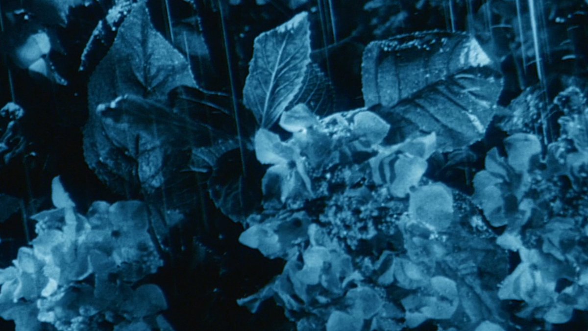 HORROR NO DRIVE tweet media