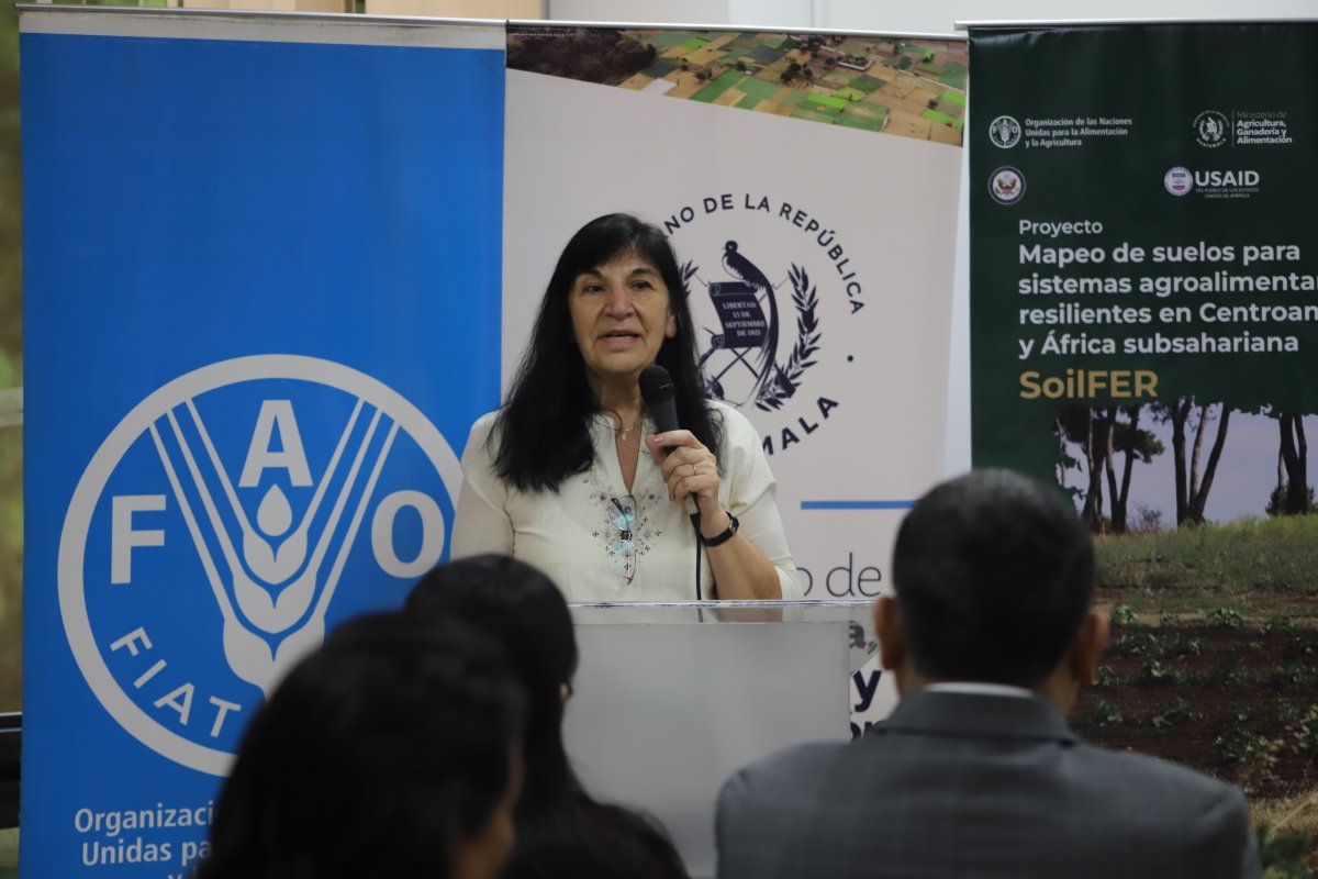 FAO Guatemala tweet media