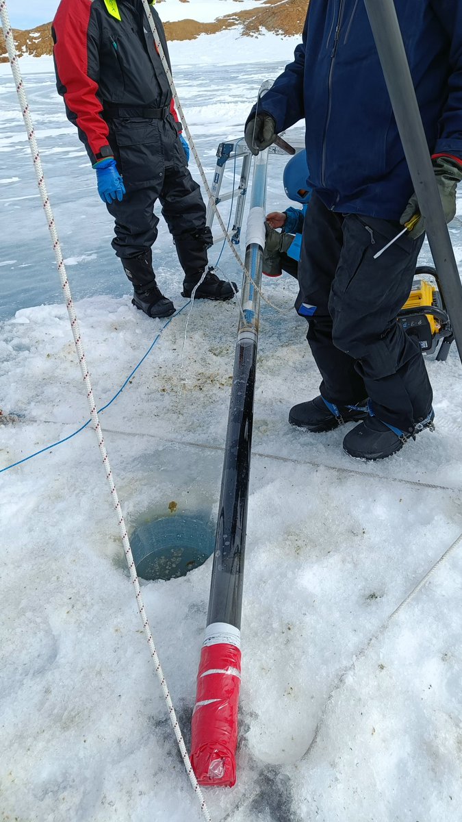 After a few days of bad weather, we’re back in action! Camp is set up, and we’ve resumed lake coring in the Larsemann Hills. This core reveals distinct lithology, marking various climate phases—exciting discoveries ahead! ❄️📜 #Antarctica #ClimateResearch #Science #lakes