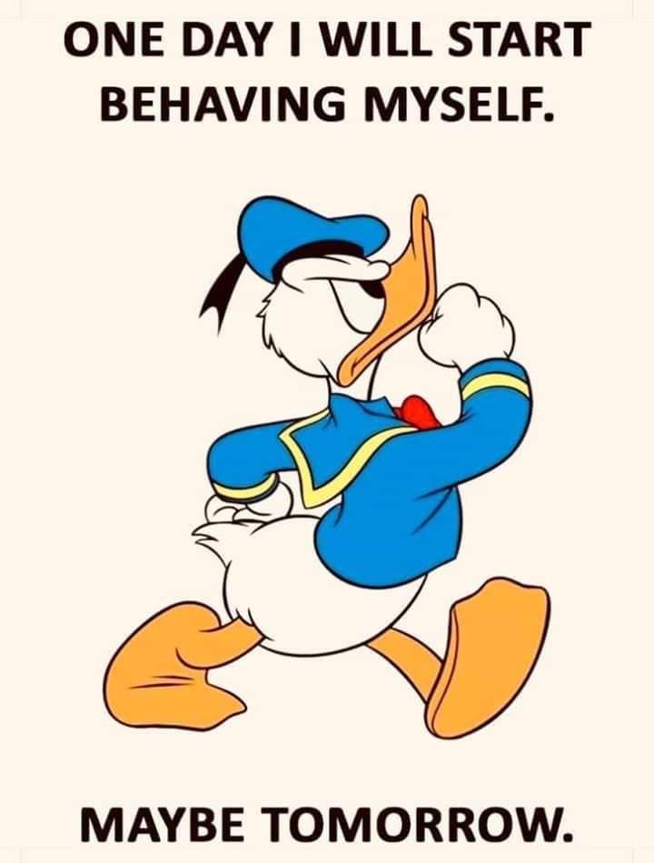 LonnieSurb46067's tweet photo. Good Monday morning https://t.co/pn9eYGz21N