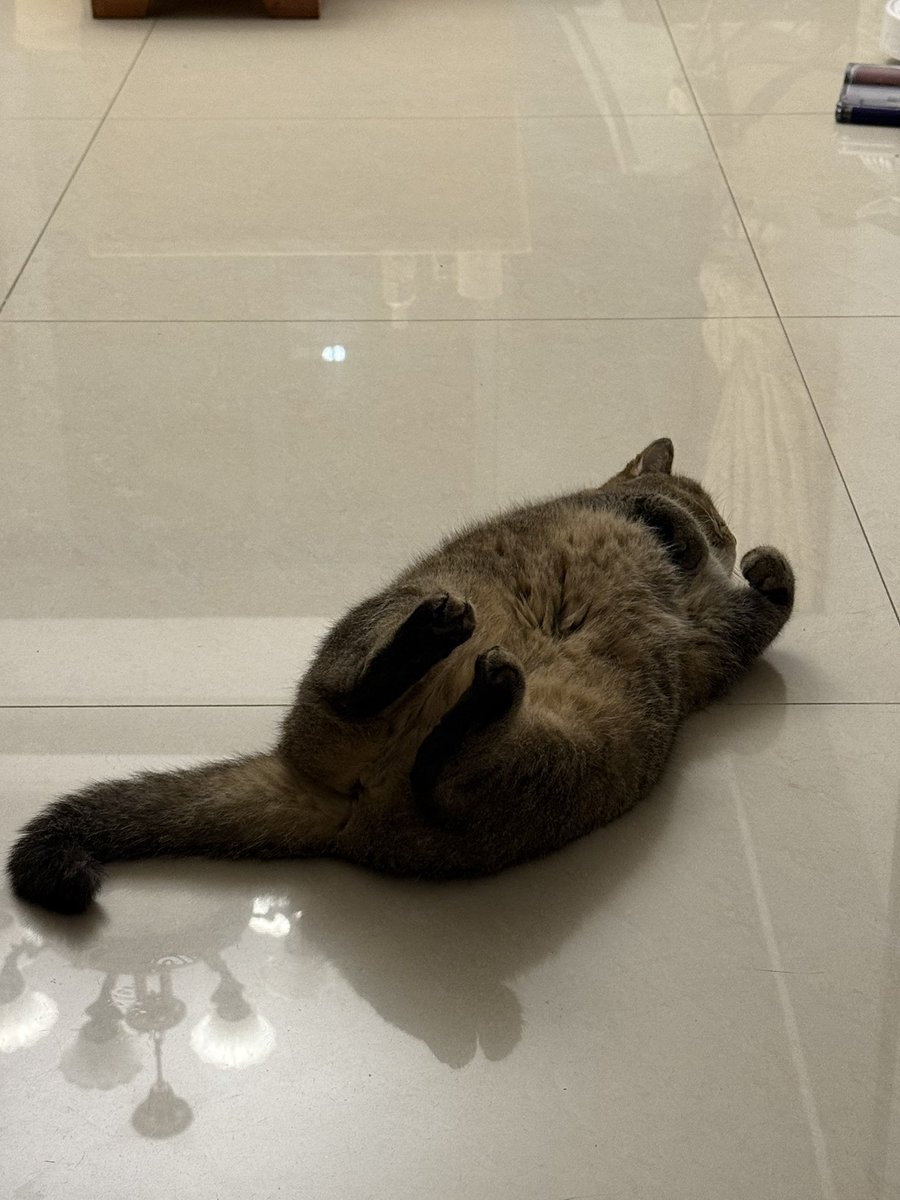 Edcccc30001's tweet photo. 野生猕猴桃 https://t.co/Mg4S8mefHs