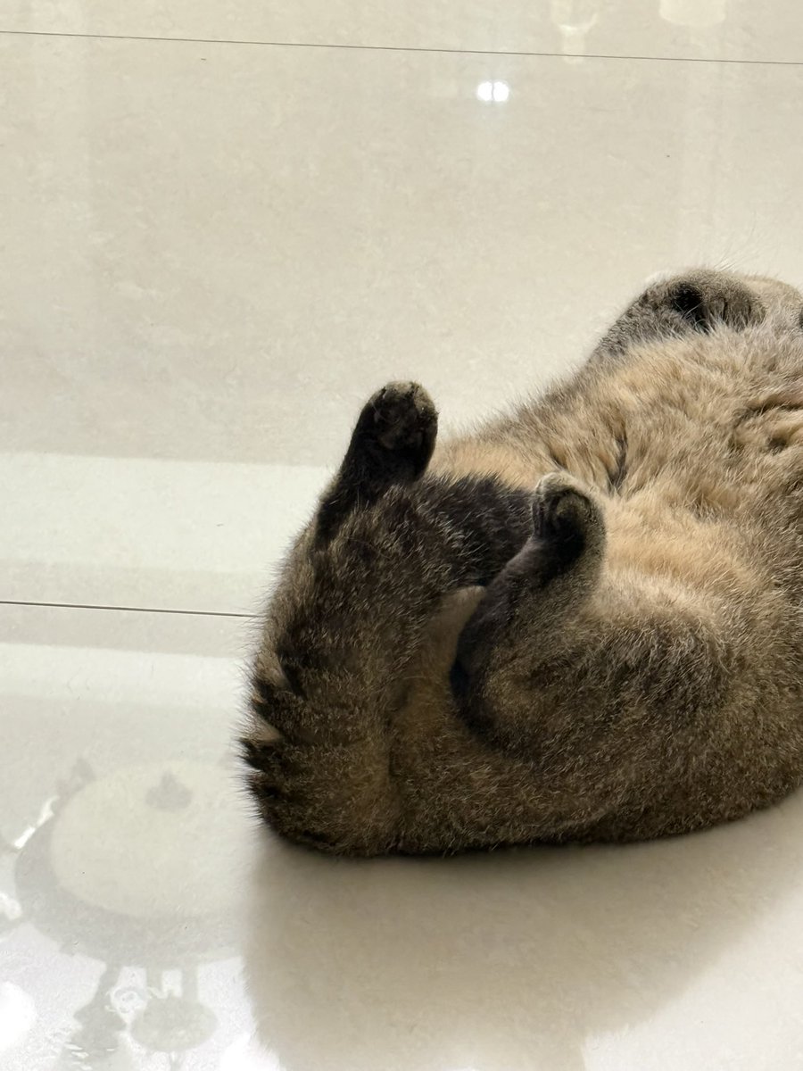 Edcccc30001's tweet photo. 野生猕猴桃 https://t.co/Mg4S8mefHs