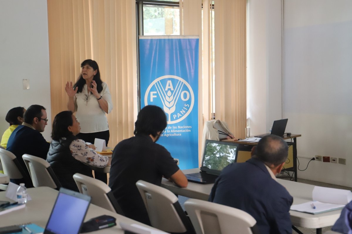 FAOGuatemala's tweet photo. 🔬🌱 Esta sesión de capacitación garantizará que los laboratorios estén entrenados de acuerdo con los Procedimientos Operativos Estándar (POE) de la Red Global de Laboratorios de Suelos #GLOSOLAN. 👩🔬🌍 https://t.co/bKvFeKn6an