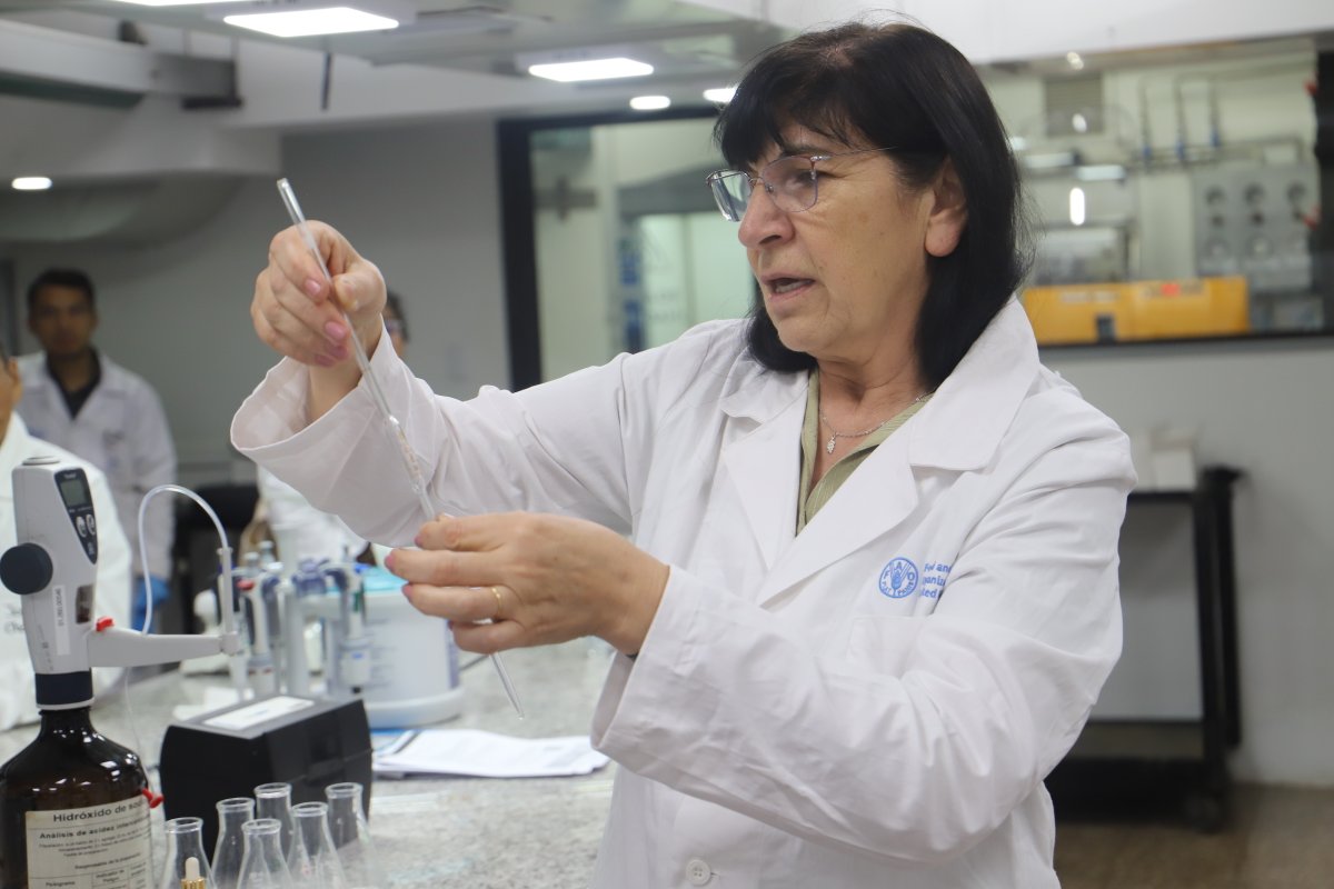 FAOGuatemala's tweet photo. 🔬🌱 Esta sesión de capacitación garantizará que los laboratorios estén entrenados de acuerdo con los Procedimientos Operativos Estándar (POE) de la Red Global de Laboratorios de Suelos #GLOSOLAN. 👩🔬🌍 https://t.co/bKvFeKn6an