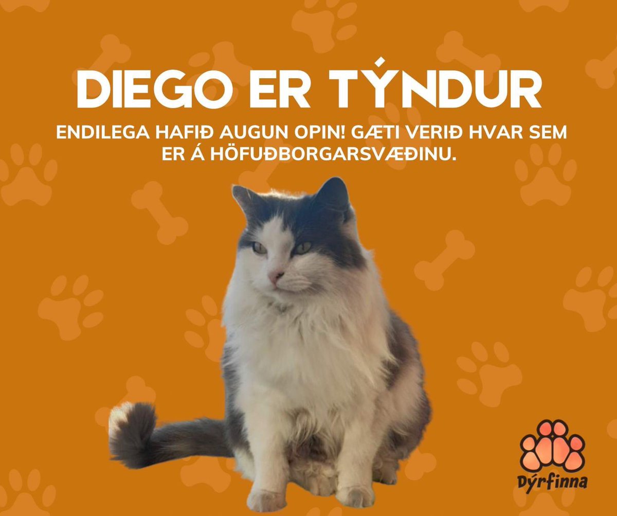 Elsku Diego okkar allra var tekinn úr A4 milli 18:30 og 19:00 í gærkvöldi. Strætóbílstjóri staðfestir að aðilinn hafi farið út hjá Bíó Paradís. Höfum augun opin 🧡