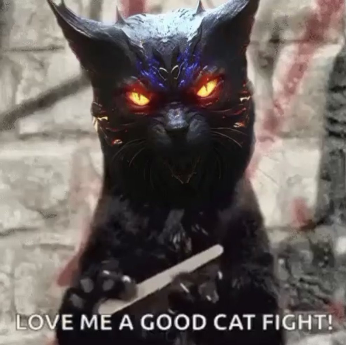 shadowzoltan's tweet photo. @binance Rioshi is a cat lurking in the shadow’s #Shadowcats https://t.co/onirmJGMMs