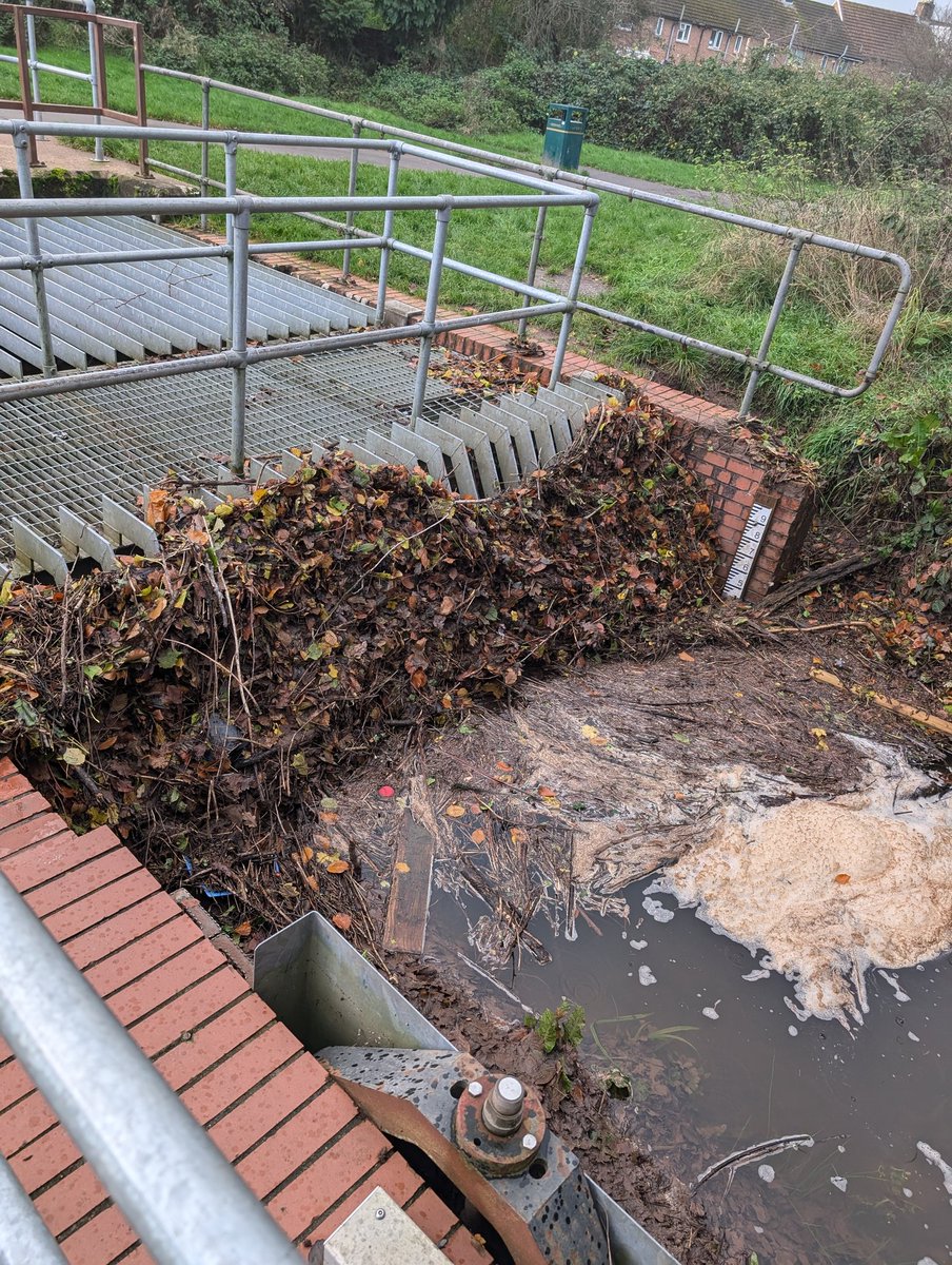Cardiff Urban Park Rangers tweet media