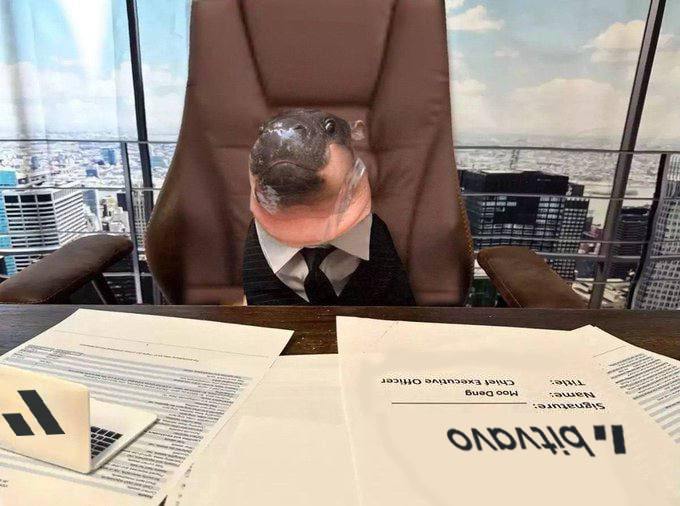 Rise and grind, hippos, it's business time.

Say 'gm' if you're a real one. 🦛

#business #stonks #chillguy #MooDuangCTO #SendTheCousin