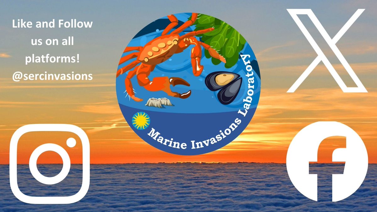 SERC Marine Invasions Research Lab tweet media