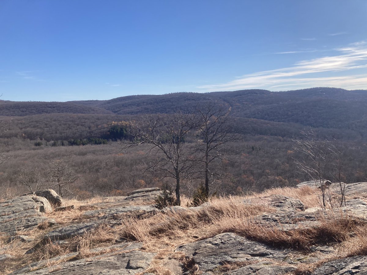 CaedmonFifth's tweet photo. The view from the #CaedmonGrade5 hike in Merriman Park.  Making nature a living, breathing part of education is a key component of Montessori curriculum and no one does that better than Mrs. Howell. https://t.co/Dl0JeCIg6e