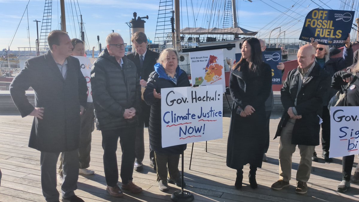 Senator Liz Krueger tweet media