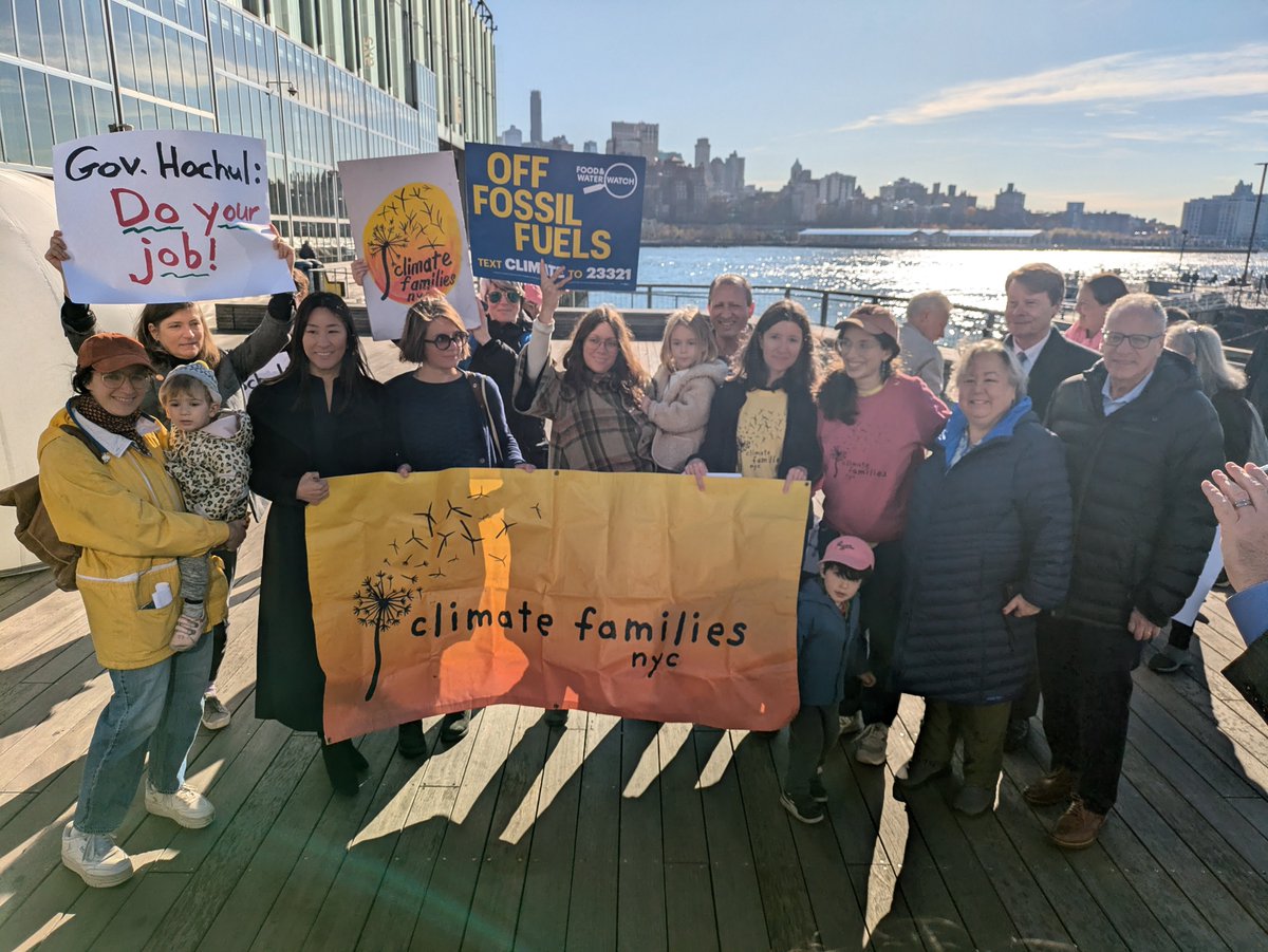 Senator Liz Krueger tweet media