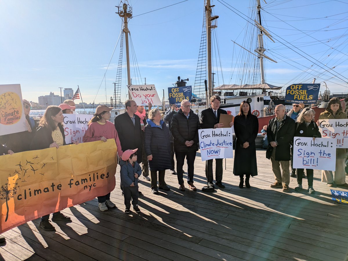 Senator Liz Krueger tweet media