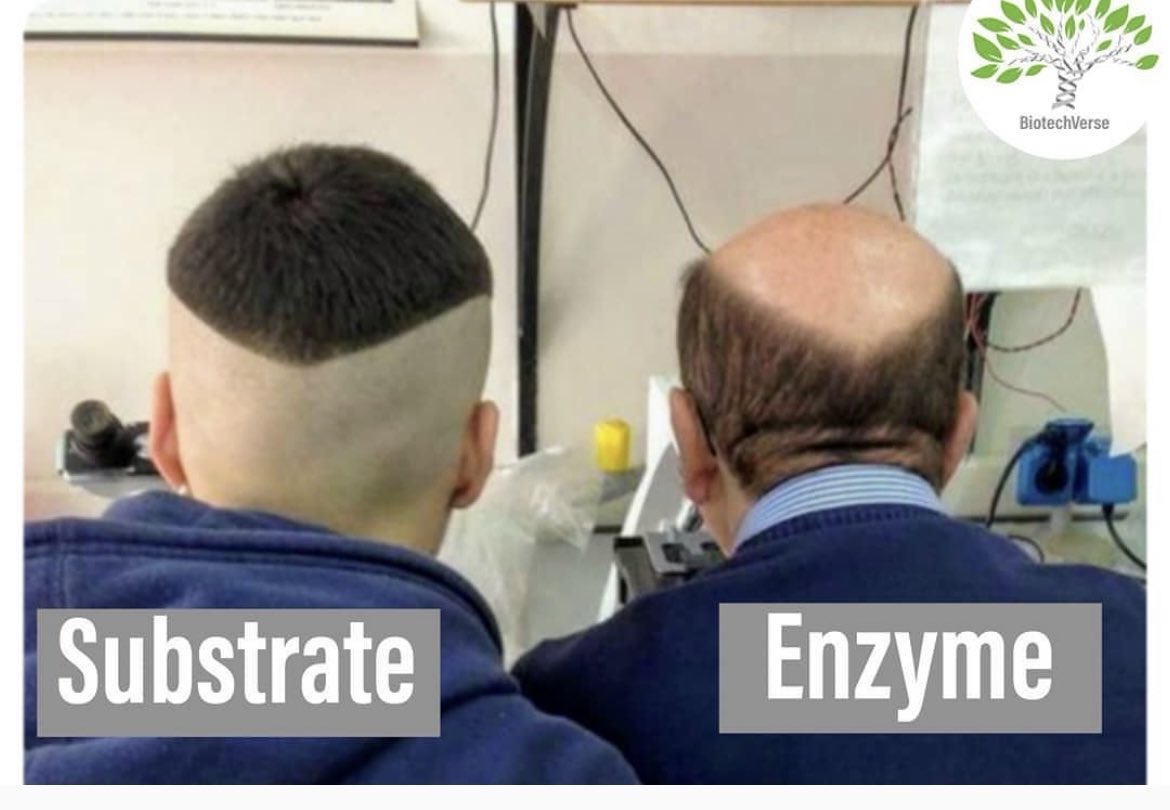 Oren Gottfried, MD tweet media