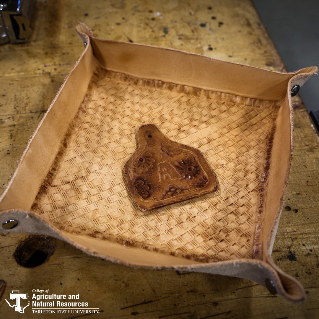 Agricultural Mechanics (AGSD 2306) students recently gained hands-on experience in leather-working, learning skills like stitching and shaping. This semester, the course also covered shop safety, electricity, plumbing, land surveying, and more.