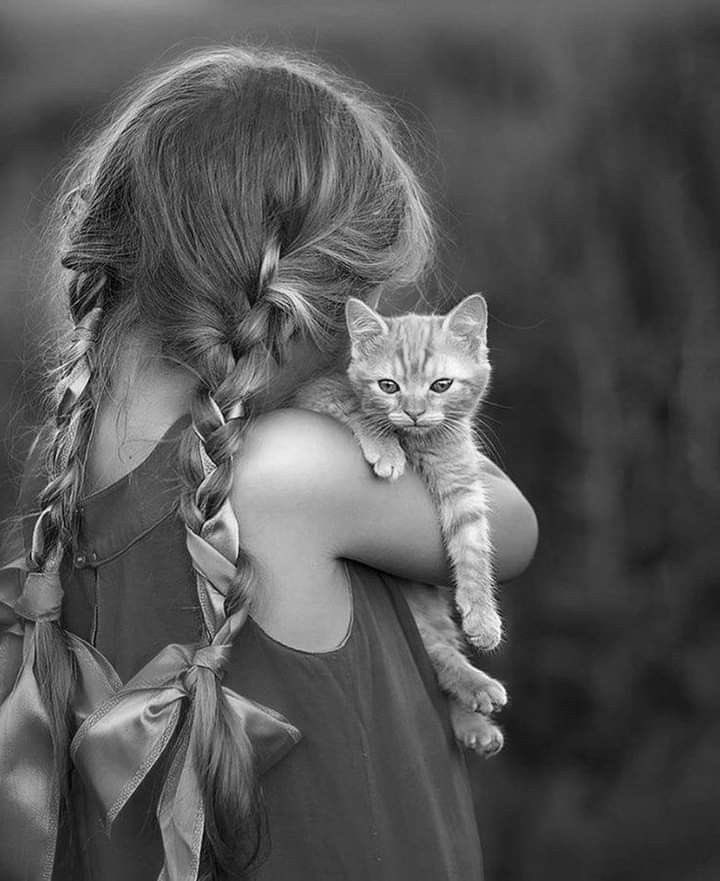 ٠٠

لا يوجد شخص رائع طوال الوقت
ولا شخص كامل فوق الوصف!
وإنما هناك 

فراغٌ يُملأ '''وألمٌ يُداوى'''وعيب يُستر'''
           
وخطأ يُنسى'''وهفوات يلزمها تغافل'''

ولحظات حزن يحتويها جبر خاطر'''