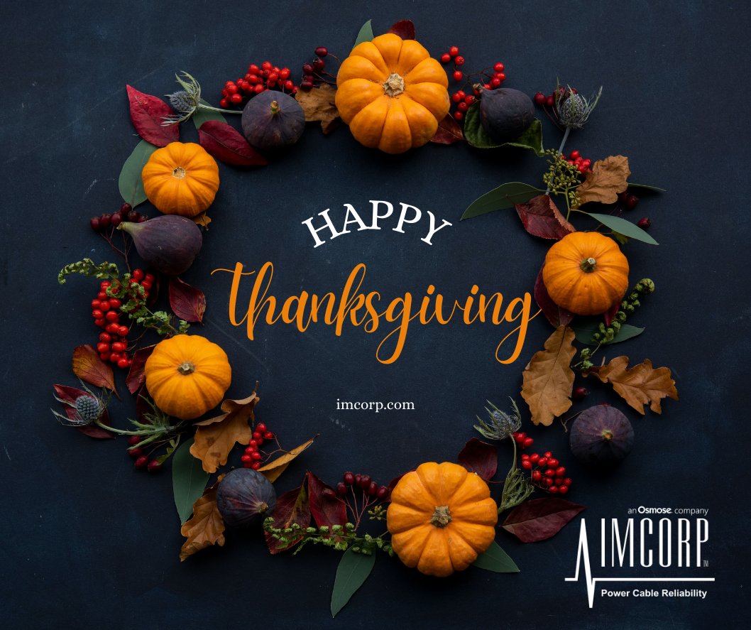We’re feeling grateful to work with so many wonderful people throughout the year and wish you a Happy Thanksgiving! 

Learn more about IMCORP, an Osmose company: imcorp.com

#Grateful #KnowledgeisPower
