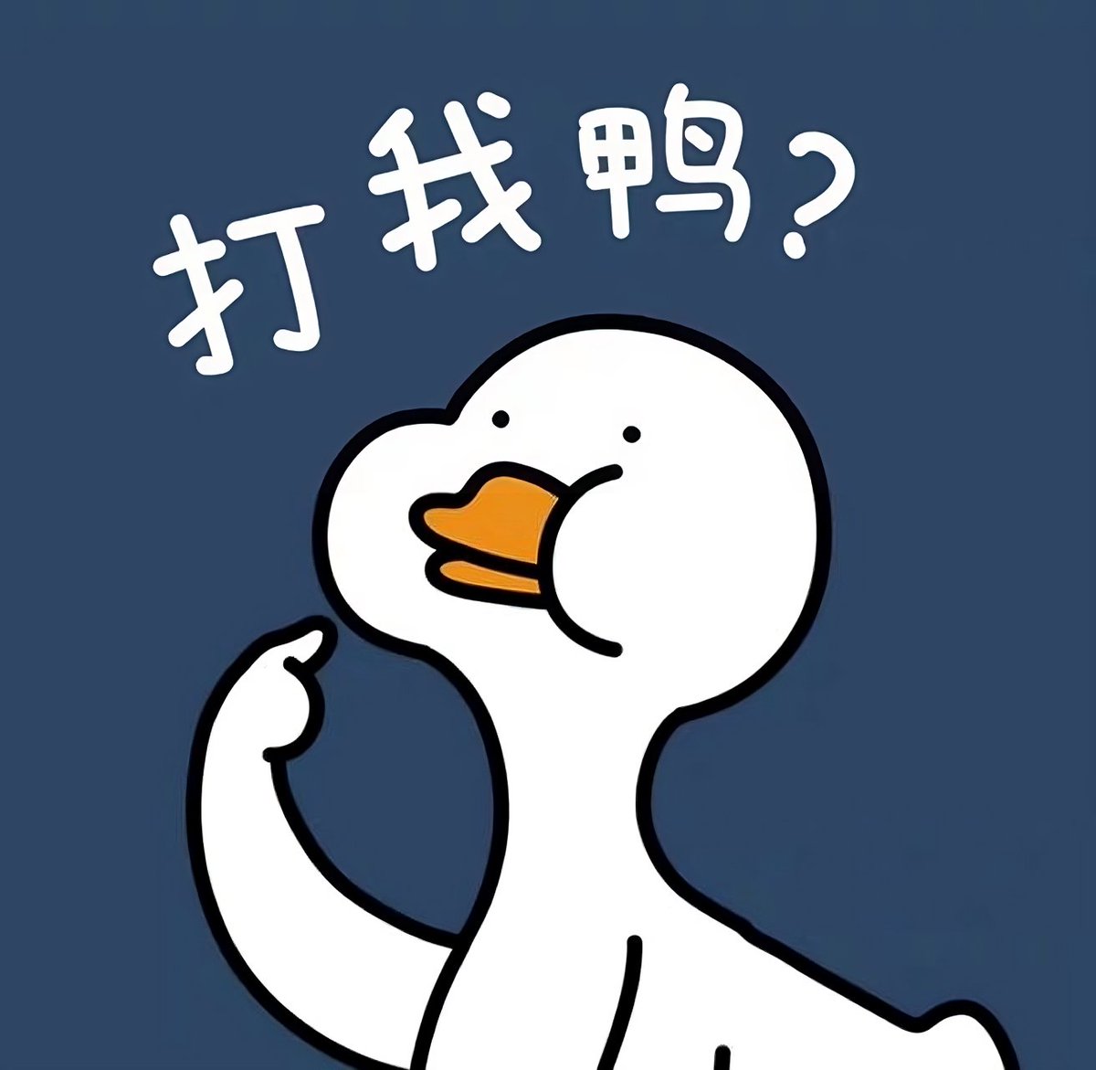 Quacko tweet media