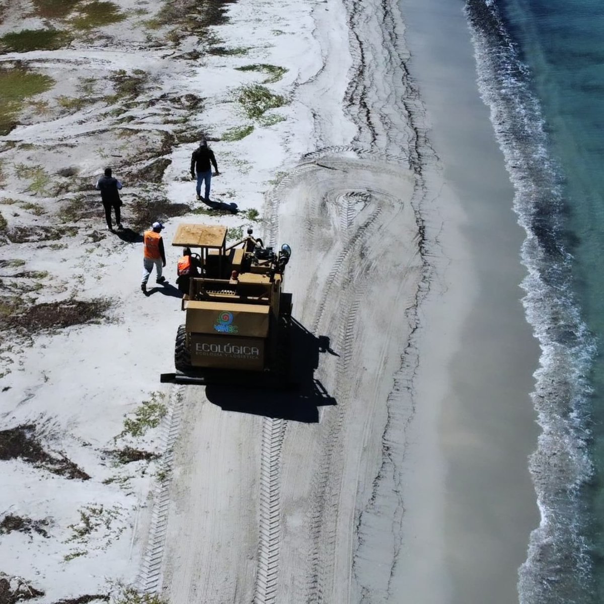 Samir_alattrach's tweet photo. Buenas noticias desde el @puerto_guamache

Con la colaboración de nuestro aliado Ecologica, se
procedió a la limpieza de la emblemática Playa Paraíso ubicada en el Puerto Internacional del Guamache en la Isla de Margarita. Oxigenando su
arena y los manglares. https://t.co/GYvXQWHdJZ