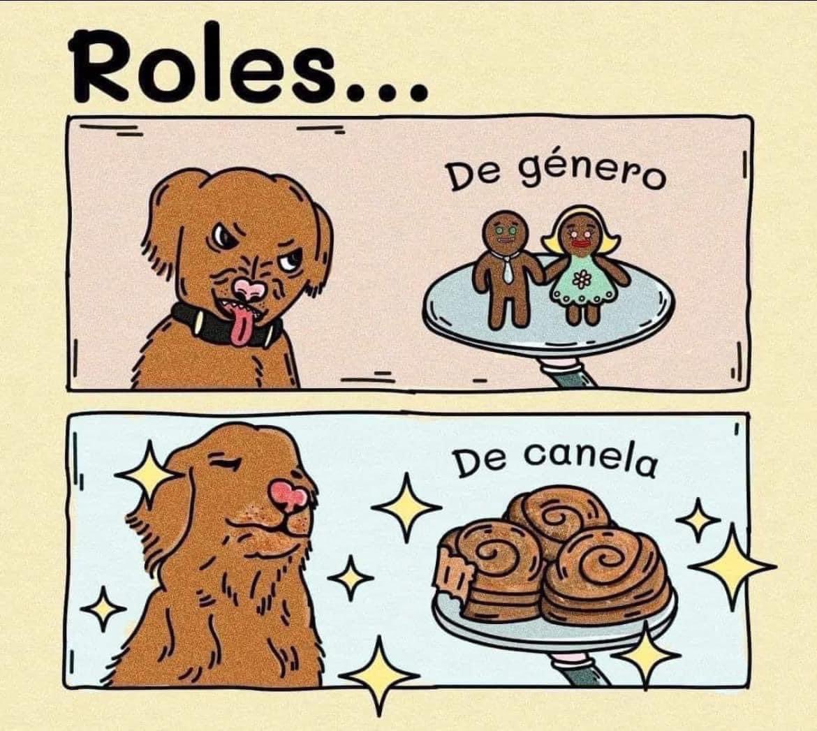 😹😹😹