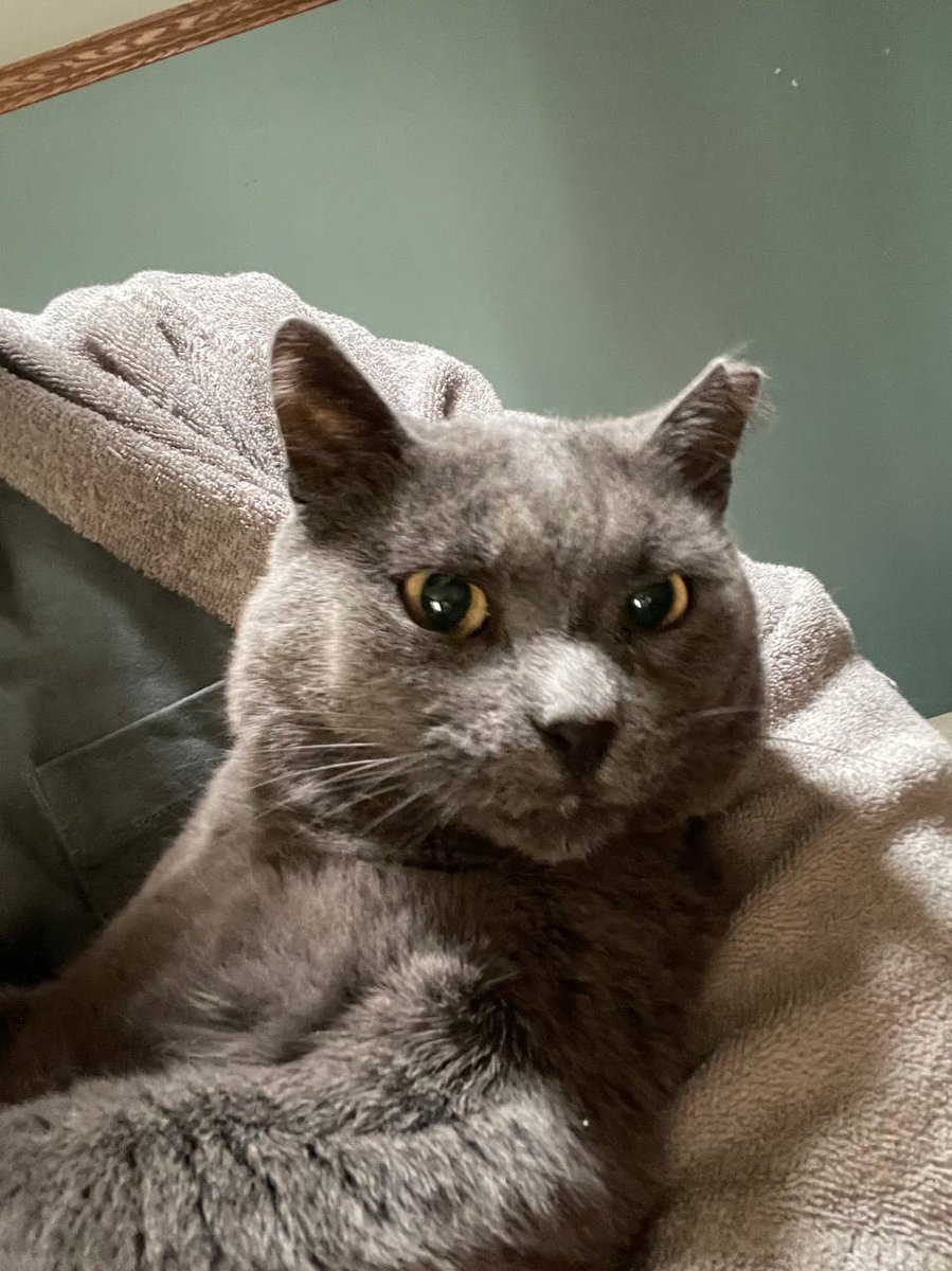 Official Day 1 of Diamond(DMTC ) Challenge.....

Give a Caption in the comment section...

Best CAPTION wins a free SOL($200+)
if non then Nahh😊..
Diamond loves y'all 🐾💎🐾...