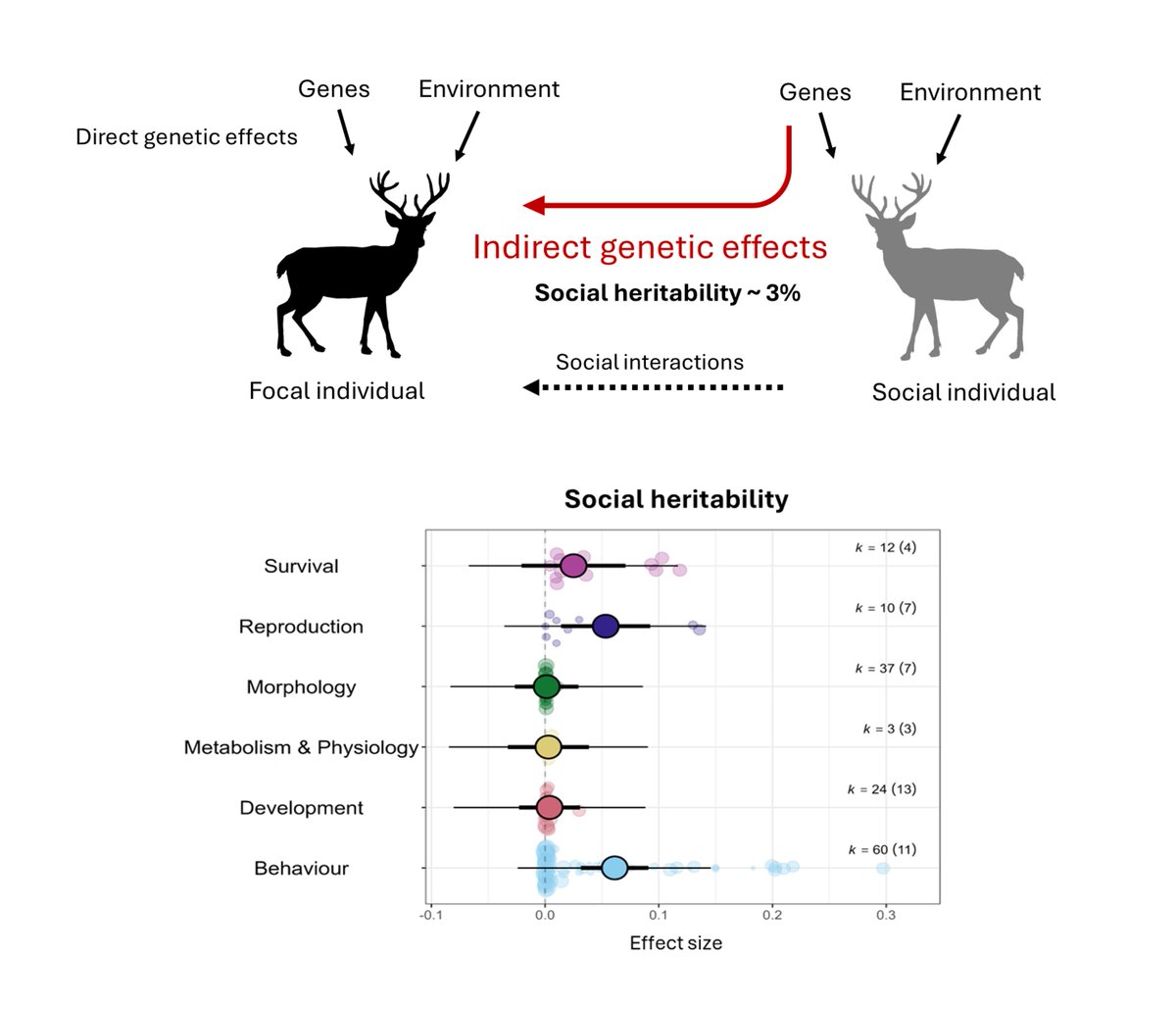 Evolution Letters (@evolletters) on Twitter photo Behaviors and reproductive characteristics may evolve faster than other traits, thanks to the genetic effects of social interactions
doi.org/10.1093/evlett…
Now in <a href="/EvolLetters/">Evolution Letters</a> by Francesca Santostefano, @MariaMoironn, Alfredo Sánchez-Tójar, David N Fisher Behaviors and reproductive characteristics may evolve faster than other traits, thanks to the genetic effects of social interactions
doi.org/10.1093/evlett…
Now in <a href="/EvolLetters/">Evolution Letters</a> by Francesca Santostefano, @MariaMoironn, Alfredo Sánchez-Tójar, David N Fisher