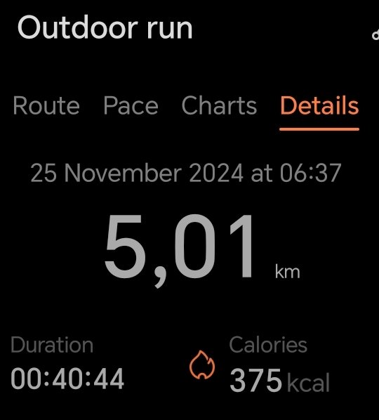 momentummemory's tweet photo. Started my day strong with a morning run,followed it up with a killer bootcamp session💪
#NeverSkipMonday #DoubleSession #MentalStrength #FitLife #MorningMotivation #FetchYourBody2024 #IPaintedMyRun https://t.co/6nZuQyRwHd
