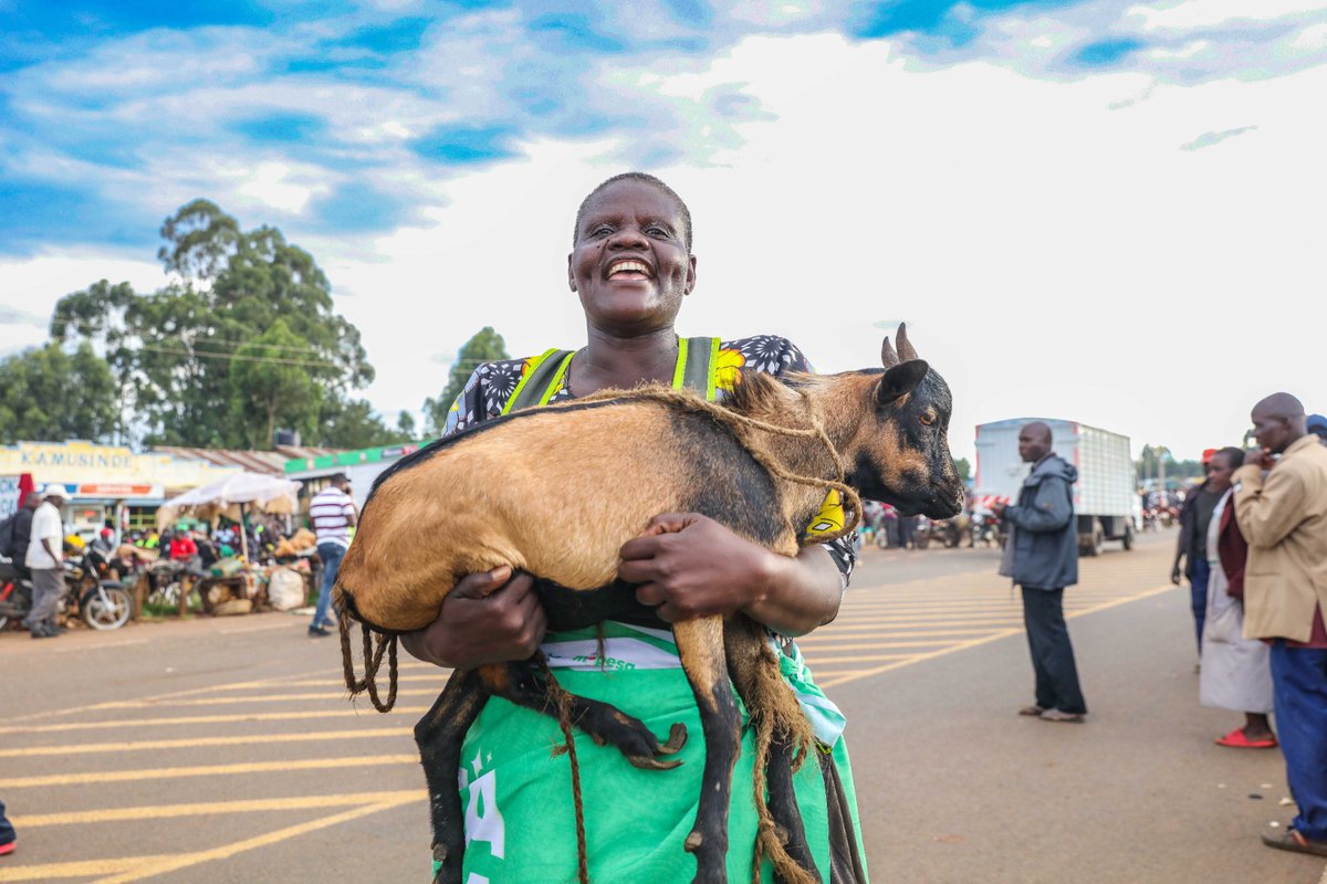 Benson K (@bensu_mk) on Twitter photo Did you know its exactly 29 days to Xmas π
...Watu wa western washaanza kuandaa sherehe. Kesho mapema, Bungoma,Mayanja, Harambee, koyonzo, ogalo, mumias na kakamega. Ukikosa simu utapata mbuzi ama kuku.
S/o <a href="/SafaricomPLC/">Safaricom PLC</a>
#SambazaFurahaNaSafaricom Did you know its exactly 29 days to Xmas π
...Watu wa western washaanza kuandaa sherehe. Kesho mapema, Bungoma,Mayanja, Harambee, koyonzo, ogalo, mumias na kakamega. Ukikosa simu utapata mbuzi ama kuku.
S/o <a href="/SafaricomPLC/">Safaricom PLC</a>
#SambazaFurahaNaSafaricom