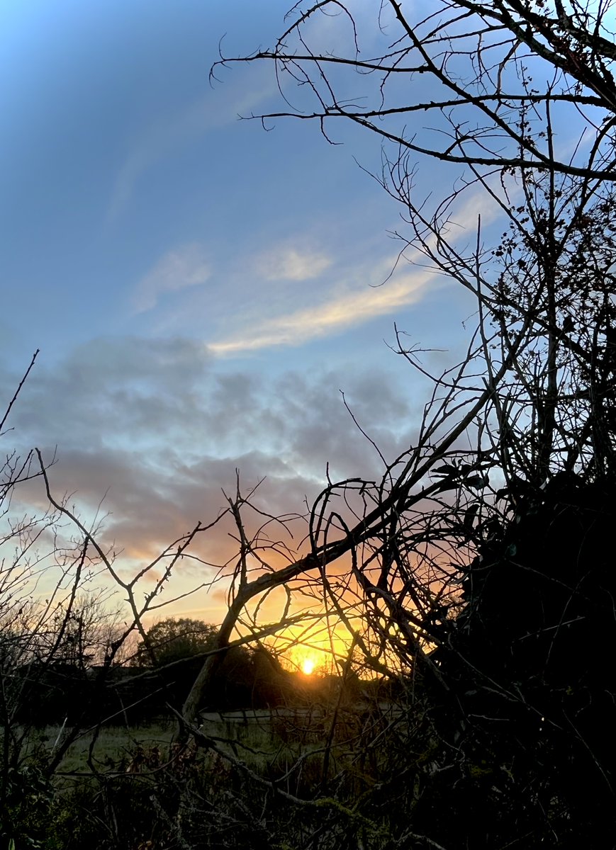 MonkeyIslandLn's tweet photo. Sunset over #Fifield https://t.co/FueWco6OB0