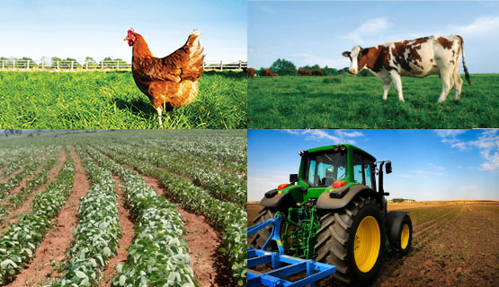 dufitalexis1's tweet photo. 🎯 #AGRONOMISTTips
Setting and achieving #agribusiness targets requires focus and strategies
Follow this👇
1️⃣ Set SMART Goals
2️⃣ Break It Down
3️⃣ Budget and Plan
4️⃣ Track Progress
5️⃣ Adapt as Needed
6️⃣ Stay Consistent
Plan. Act. Achieve! 🌾
#AKANYARWANDA DAIL!
See how in 🧵👇 https://t.co/ZjnE5lEzOQ