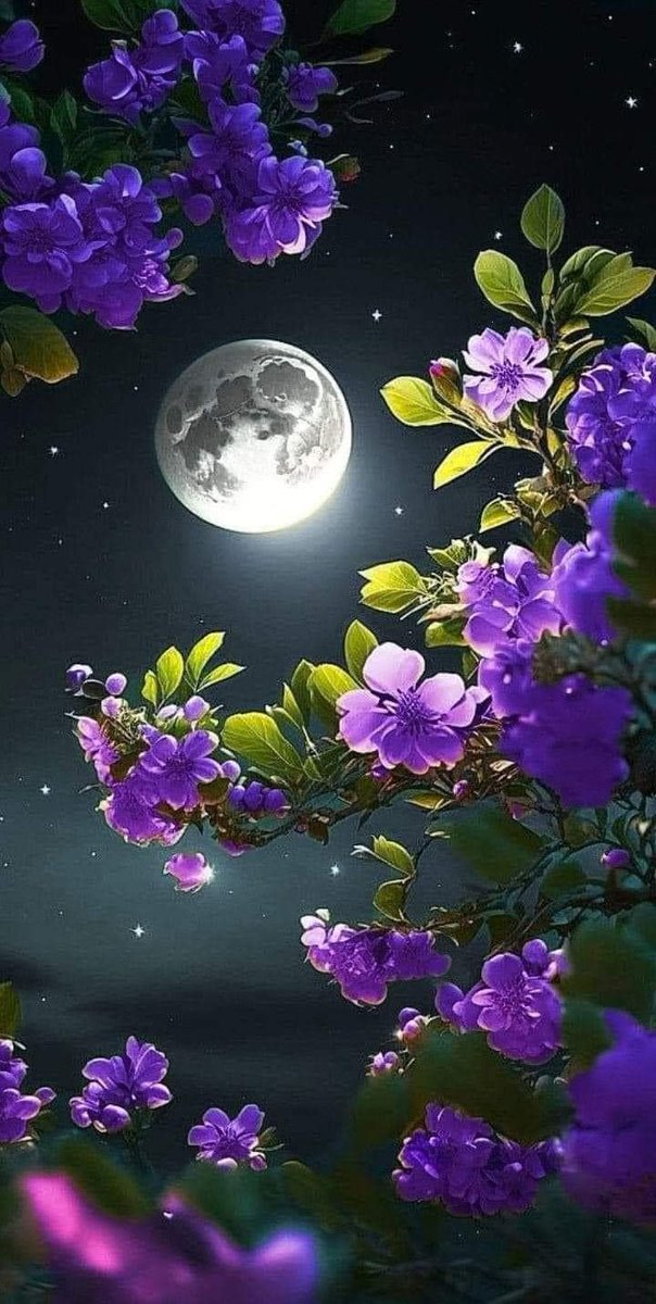 213oa's tweet image. The best ideas are born when the world sleeps. What’s your midnight thought?