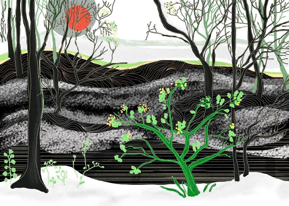 I have just collected "Similar garden II" by <a href="/bidalaNFT/">bidala</a> on <a href="/objktcom/">objkt</a> objkt.com/tokens/KT1Se2n…