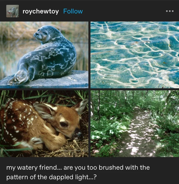 Ilex "Ilex 'Deer' The Deer" the Deer (The "Deer") tweet media