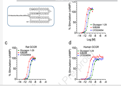 Daniel J Drucker (@danieljdrucker) on Twitter photo A new reagent for interrogation of glucagon action-the long acting GCGR agonist LY3324954 #weightloss #diabetes
<a href="/MolMetab/">Molecular Metabolism</a> <a href="/KirkMHabegger/">Kirk M Habegger</a> <a href="/UABNews/">UAB</a> sciencedirect.com/science/articl… A new reagent for interrogation of glucagon action-the long acting GCGR agonist LY3324954 #weightloss #diabetes
<a href="/MolMetab/">Molecular Metabolism</a> <a href="/KirkMHabegger/">Kirk M Habegger</a> <a href="/UABNews/">UAB</a> sciencedirect.com/science/articl…