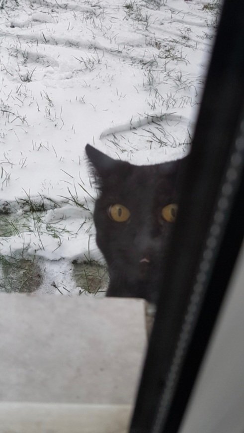 Just_Jujul tweet media