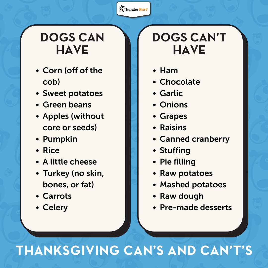 Your Thanksgiving meal might be so tasty that your pet may want as many bites as possible! Keep your pets safe and healthy this Thanksgiving by knowing what they can and cannot have 🍁🦃