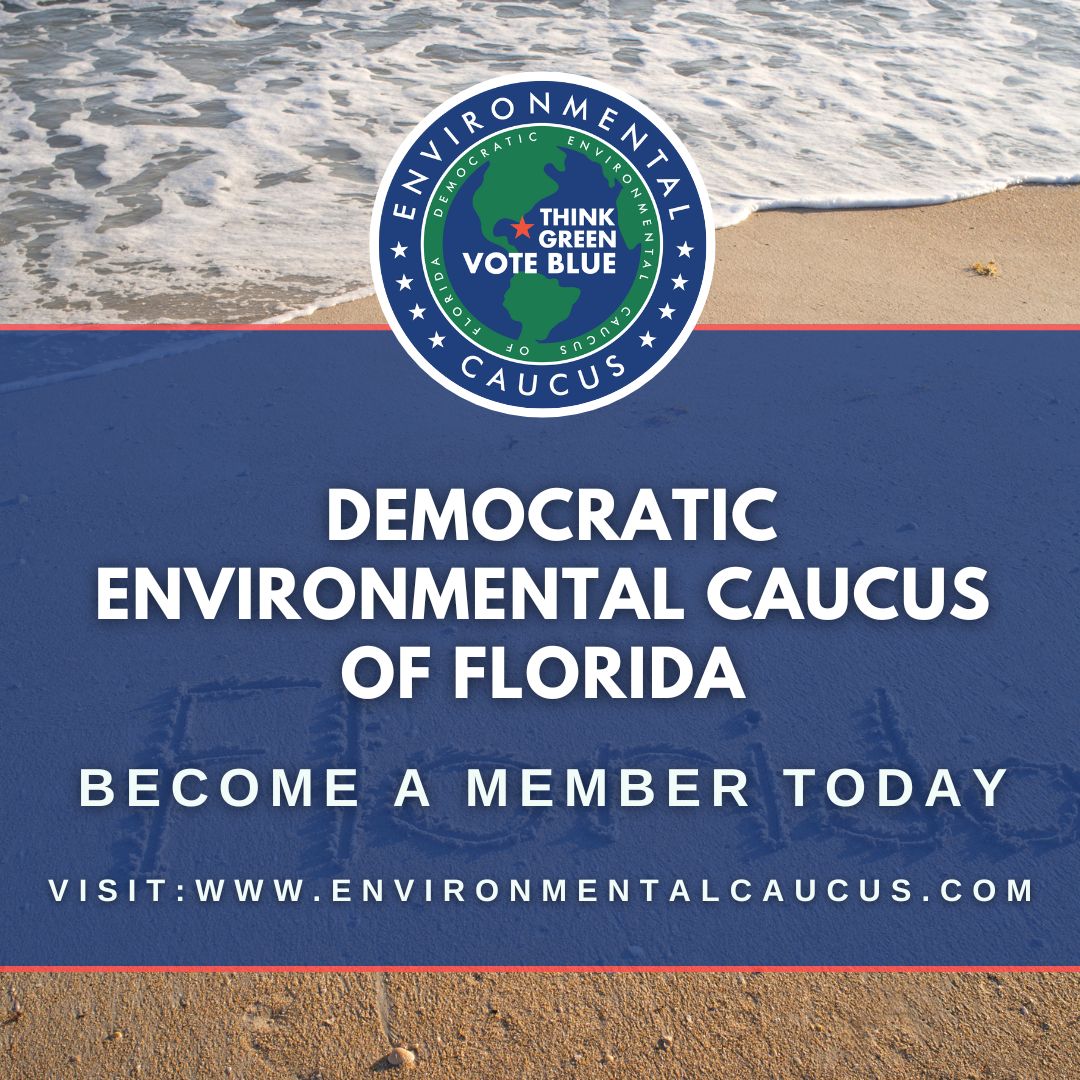Democratic Environmental Caucus of Florida tweet media