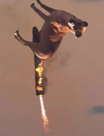 This dog will teleport everyone to moon LMFAO 🤣🤣

So fucking funny.

Make memes just funny and great again. 

That's so simple. 

dexscreener.com/solana/3mtjknm…

$fwog $fric $kacy $pnut $goat