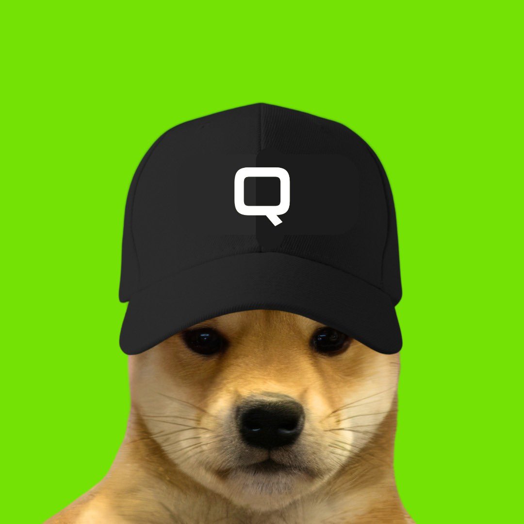 Qubi_DAO's tweet photo. @itstylersays RWA trend 🔜

Better grab a bag of $QBIT

$Wif whales love it https://t.co/q07iQ0LZxt