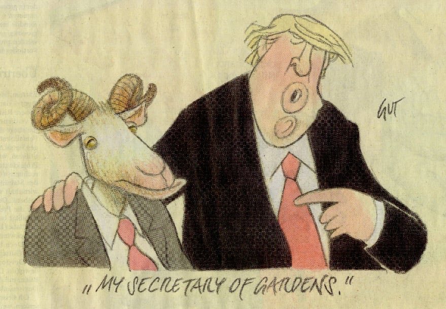 Waldwende Heidelberg (@waldwende) on Twitter photo 