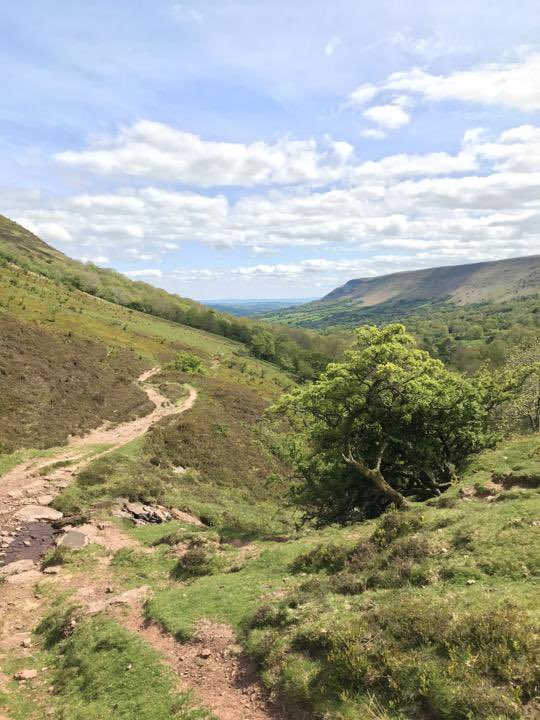 Toby Fountain (@tobywildlife.bsky.social) (@toby_wildlife) on Twitter photo 1. As an ecologist with a growing fascination with breeding birds in the upland fringes of Herefordshire, Id like to spend this winter swatting up on some relevant research so that I’m well prepared for next spring. This image of the Ochlon fills me with excitement. <a href="/HerefsBirds/">HerefordshireBirds</a> 1. As an ecologist with a growing fascination with breeding birds in the upland fringes of Herefordshire, Id like to spend this winter swatting up on some relevant research so that I’m well prepared for next spring. This image of the Ochlon fills me with excitement. <a href="/HerefsBirds/">HerefordshireBirds</a>