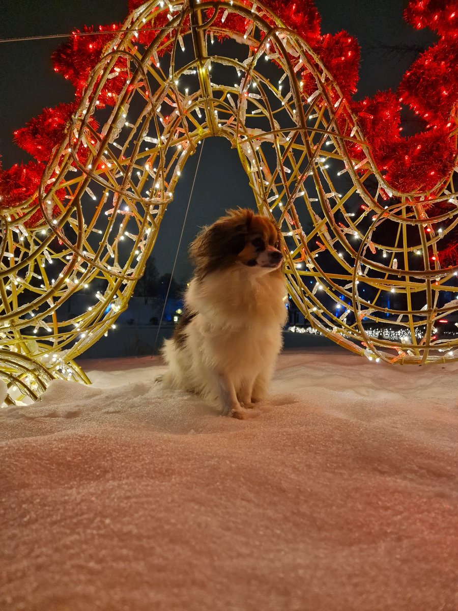 Kevin Persson tweet media