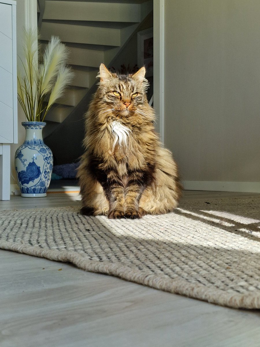 Kevin Persson tweet media